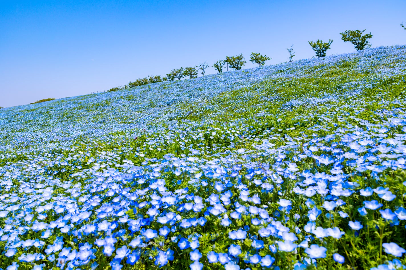 【豪華景品あり】紫外線が気になりだす今。あなたの「#春の紫外線対策」を教えて!の画像