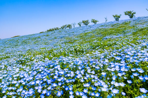 【豪華景品あり】紫外線が気になりだす今。あなたの「#春の紫外線対策」を教えて!の画像
