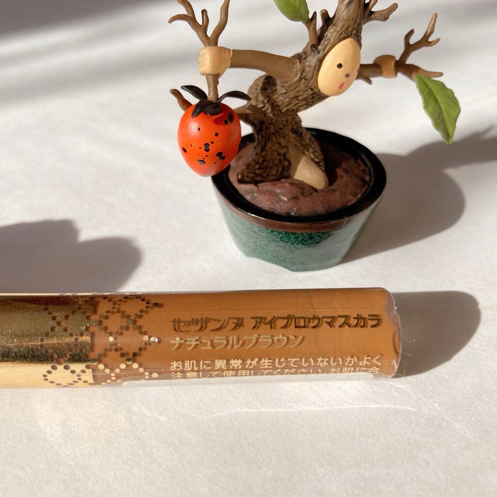 アイブロウマスカラ/CEZANNE/眉マスカラを使ったクチコミ(5枚目)