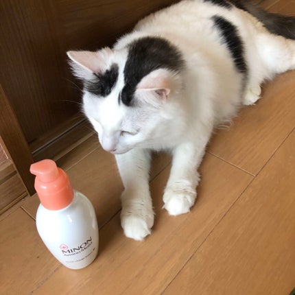 ミノン アミノモイスト モイストチャージ ローションII もっとしっとりタイプ/ミノン/化粧水を使ったクチコミ(3枚目)