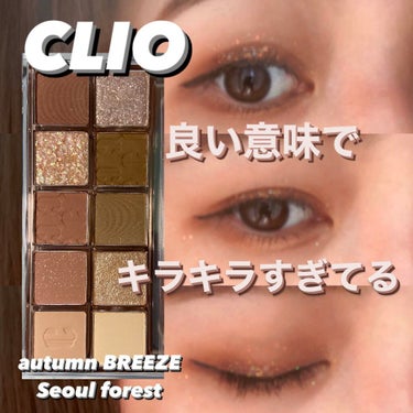 プロ アイ パレット/CLIO/アイシャドウパレットを使ったクチコミ（1枚目）