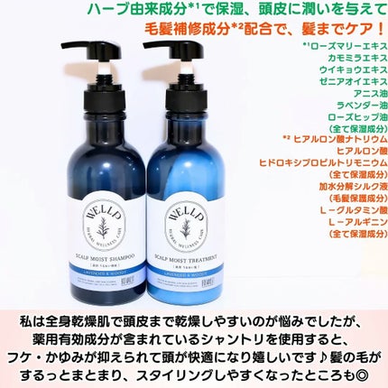 薬用スカルプケアシャンプー/トリートメント モイスト/WELLP/市販シャンプーを使ったクチコミ(5枚目)