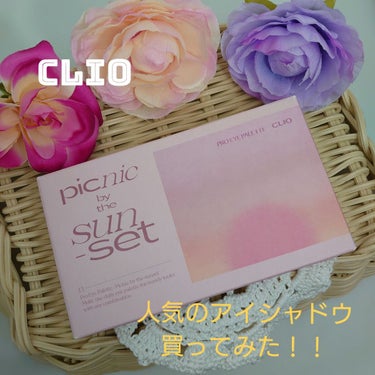 プロ アイ パレット/CLIO/アイシャドウパレットを使ったクチコミ（1枚目）