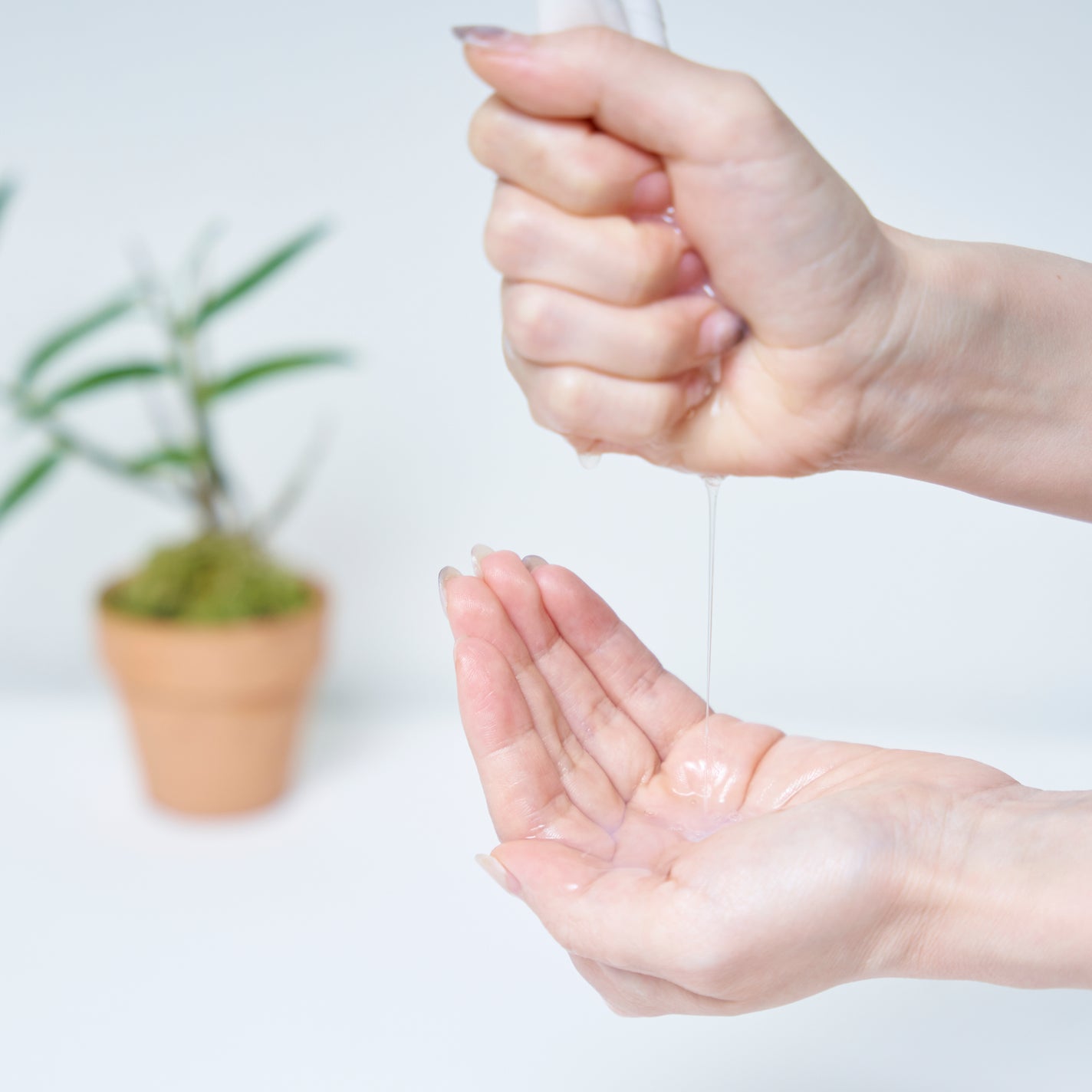 セッコク蘭フレッシュモイスチャーマスク DR PLANT