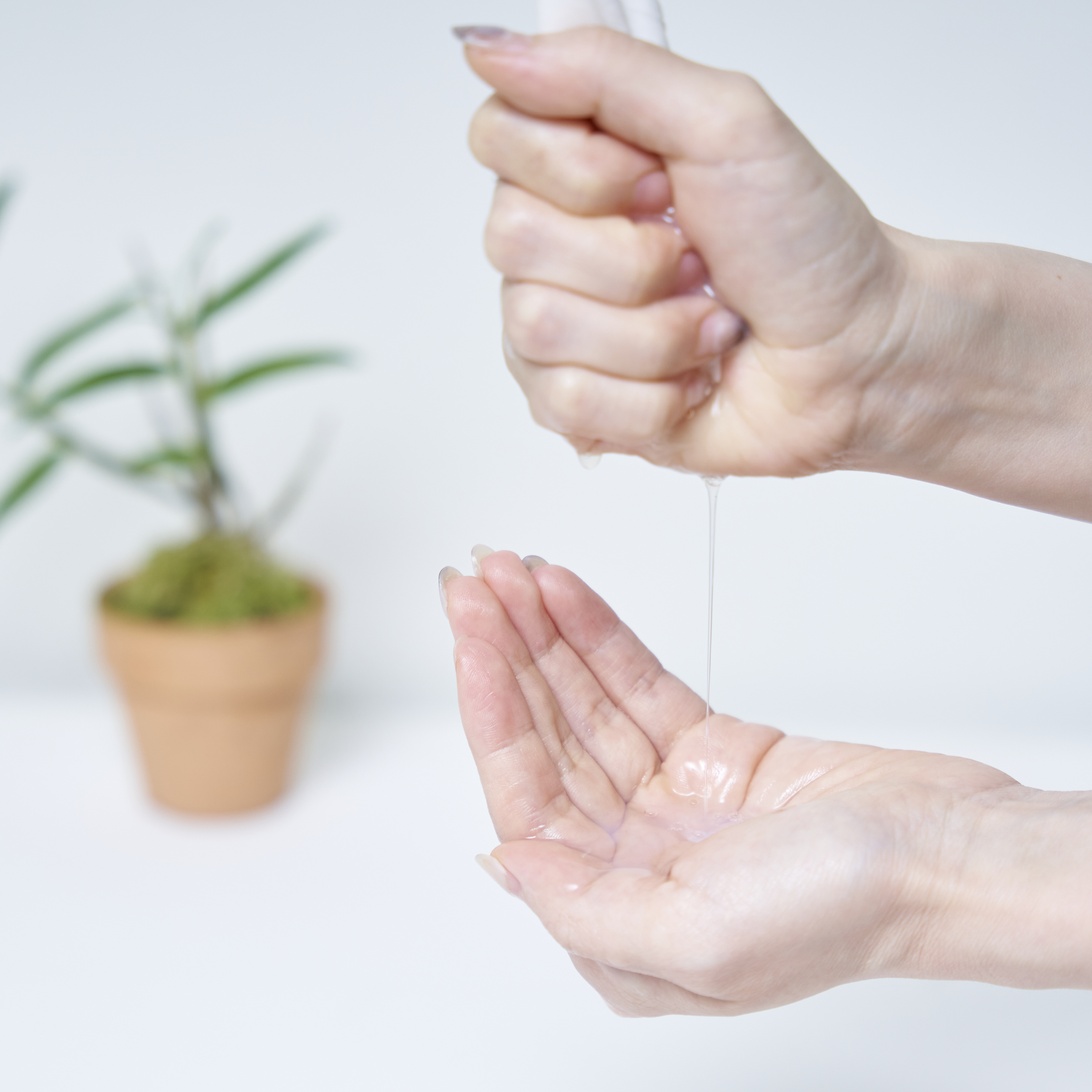 セッコク蘭エイジングケアマスクα DR PLANT