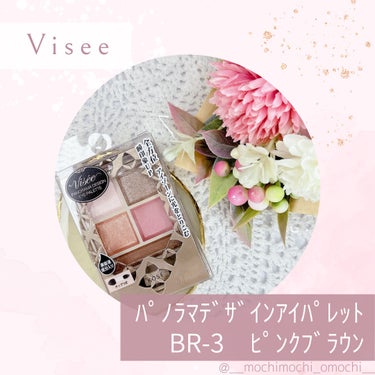 パノラマデザイン アイパレット/Visée/アイシャドウパレットを使ったクチコミ（1枚目）