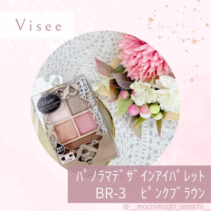 パノラマデザイン アイパレット/Visée/アイシャドウパレットを使ったクチコミ(1枚目)