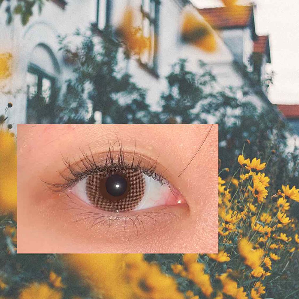 ReVIA 1day/ReVIA/ワンデー(1DAY)カラコンを使ったクチコミ(2枚目)