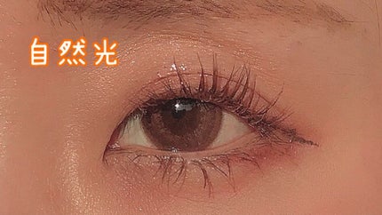 TeAmo 1DAY/TeAmo/ワンデー(1DAY)カラコンを使ったクチコミ(4枚目)