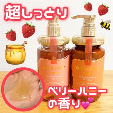 Creamy EXダメージリペアシャンプー1.0/ヘアトリートメント2.0/&honey/シャンプー・コンディショナーを使ったクチコミ（1枚目）