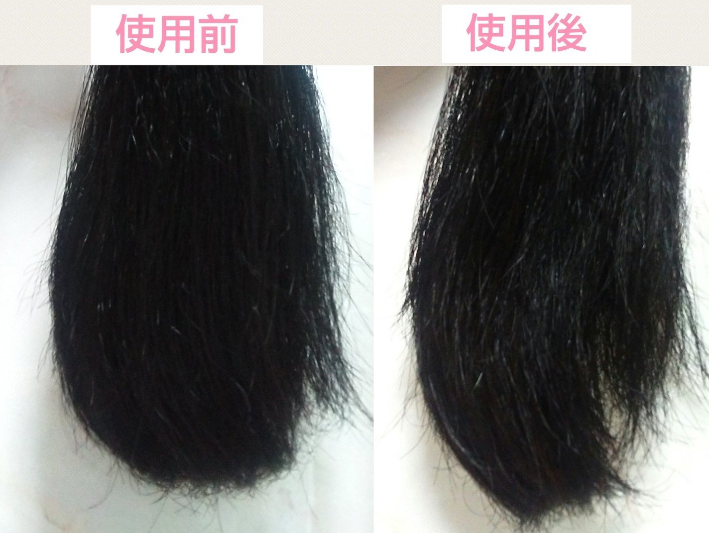 GLOSSY COAT SHAMPOO / TREATMENT/SANUS HAIR FILTER/市販シャンプーを使ったクチコミ(4枚目)
