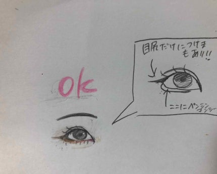 みーとぱい@フォロバ on LIPS 「私…蒙古襞が酷すぎてデカ目メイクが出来ないんです!!!逆にでき..」(4枚目)