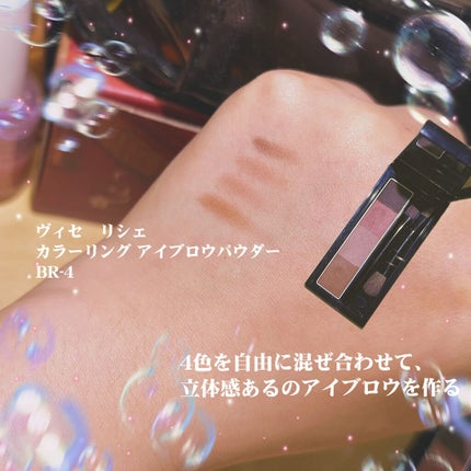 リシェ カラーリング アイブロウパウダー/Visée/パウダーアイブロウを使ったクチコミ(2枚目)