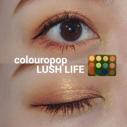 ラッシュライフ/ColourPop/アイシャドウパレットを使ったクチコミ(1枚目)
