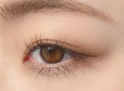 ボーン ディス ウェイ ザ ナチュラル ヌード アイシャドウ パレット/Too Faced/アイシャドウパレットを使ったクチコミ(4枚目)