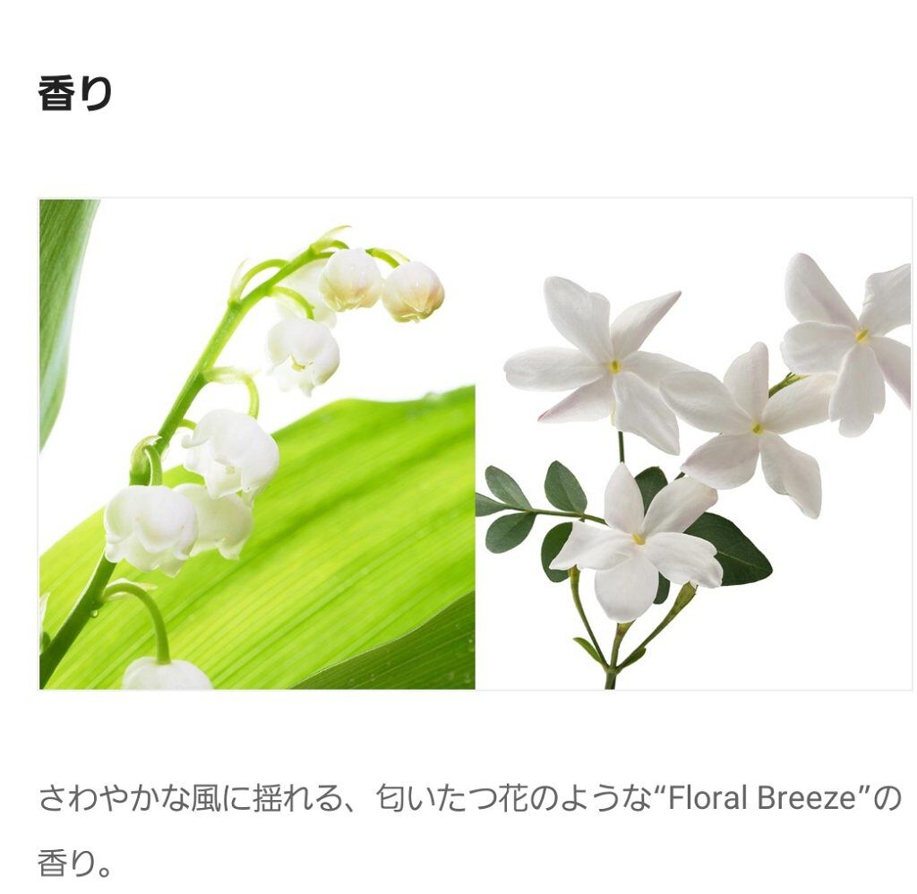 ルミナス ソフトニング オイル/ミルボン/ヘアオイルを使ったクチコミ（3枚目）