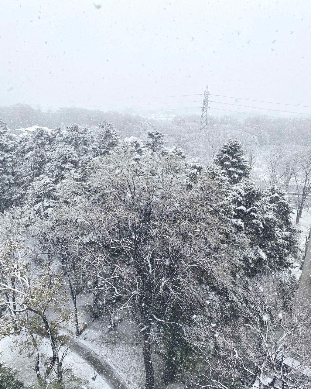 TSUYA エッセンス VG/shu uemura/美容液を使ったクチコミ（2枚目）