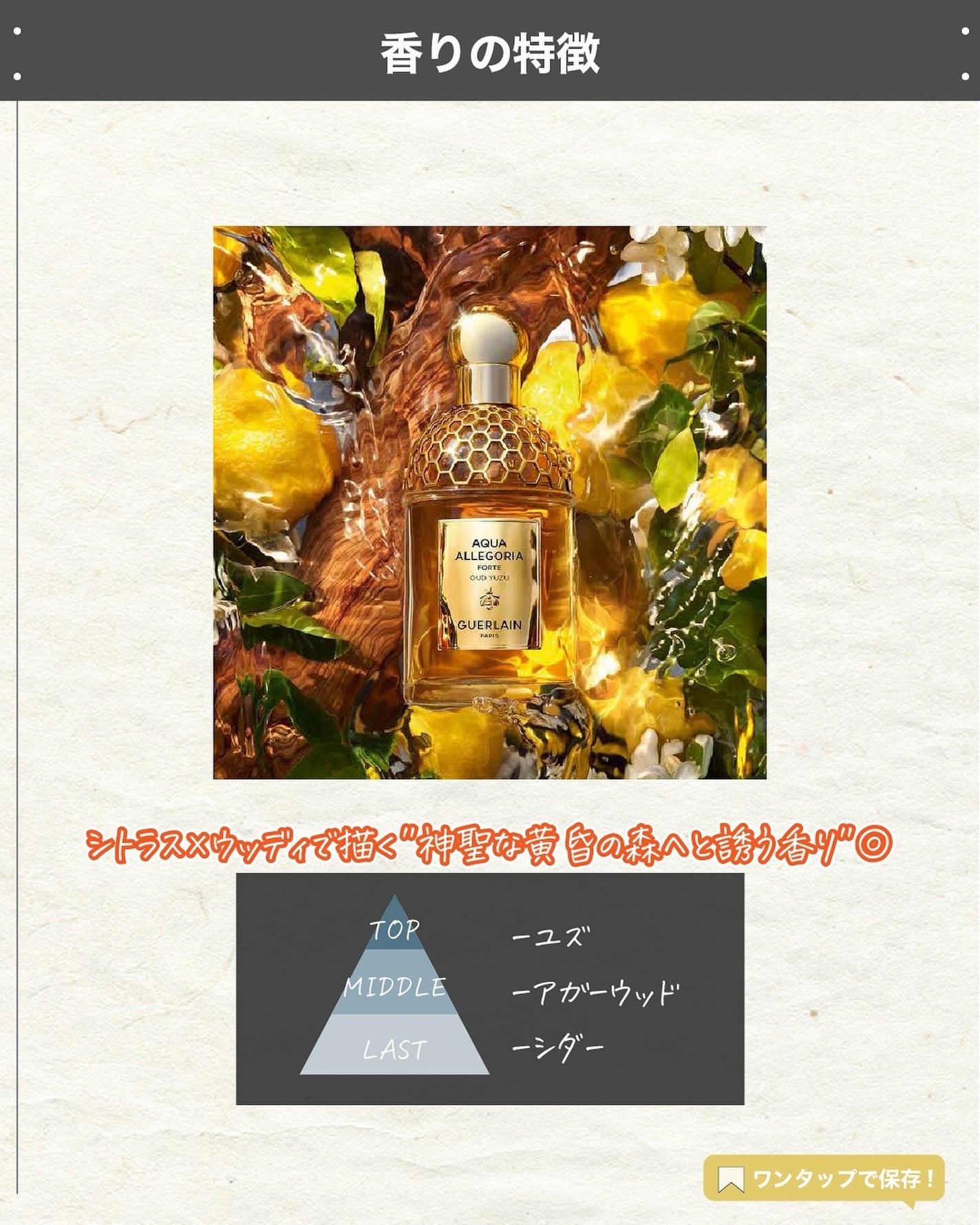 エスログ┊1日1分のモテ香水紹介 on LIPS 「.『ゲラン柚子香水』🌳製品情報🌳GUERLAINウードユズフォ..」(3枚目)