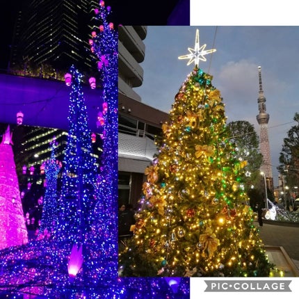 オリーブ&アルガン クレンジングオイル/Deve/オイルクレンジングを使ったクチコミ(3枚目)