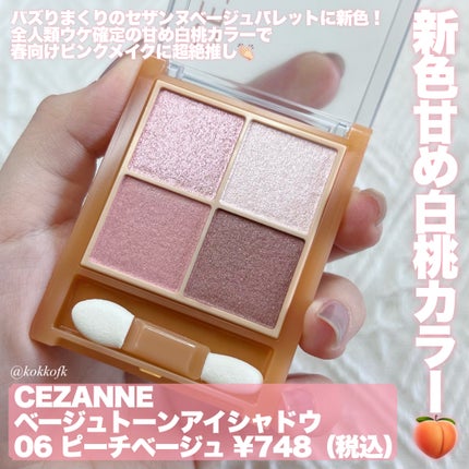 ベージュトーンアイシャドウ/CEZANNE/アイシャドウパレットを使ったクチコミ(2枚目)