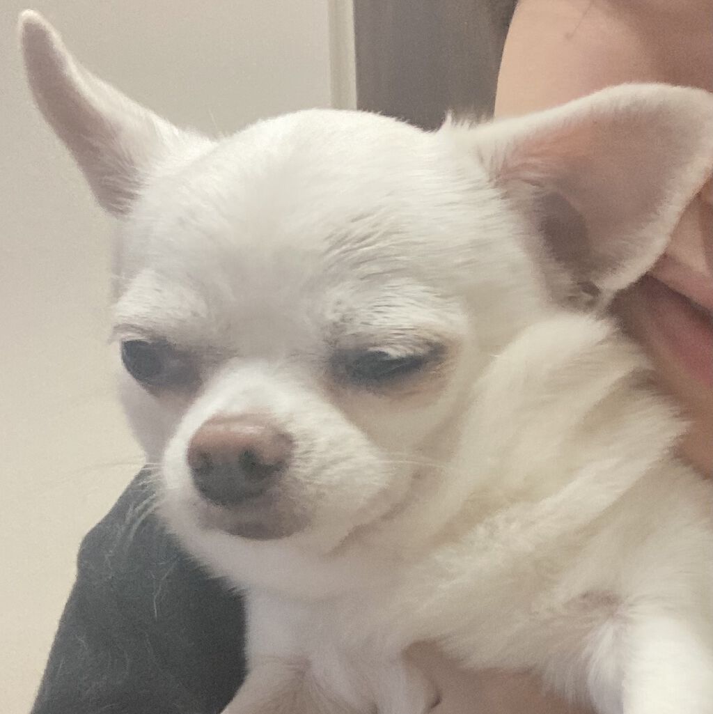 Gel Nail system 18/ネイル工房/ジェルネイルを使ったクチコミ（3枚目）