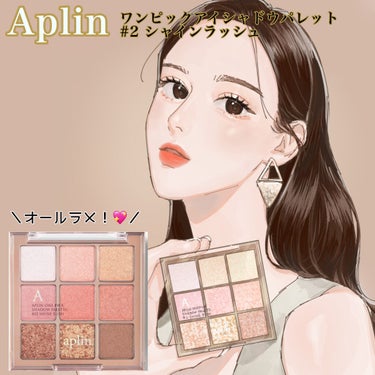 ワンピックアイシャドウパレット/APLIN/アイシャドウパレットを使ったクチコミ（1枚目）