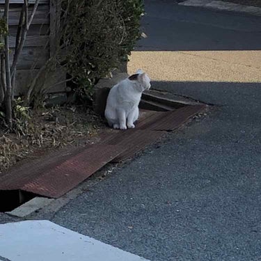 
今回はメイクとは全く関係の無い話になりますが、投稿している方には見て頂きたいです。

なまこさんの投稿を見て勇気を貰いました。
私の投稿より分かりやすく書いてあるのでそちらから見て頂くことをオススメし