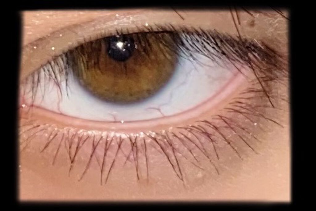 オペラ マイラッシュ アドバンスト/OPERA/マスカラを使ったクチコミ（1枚目）