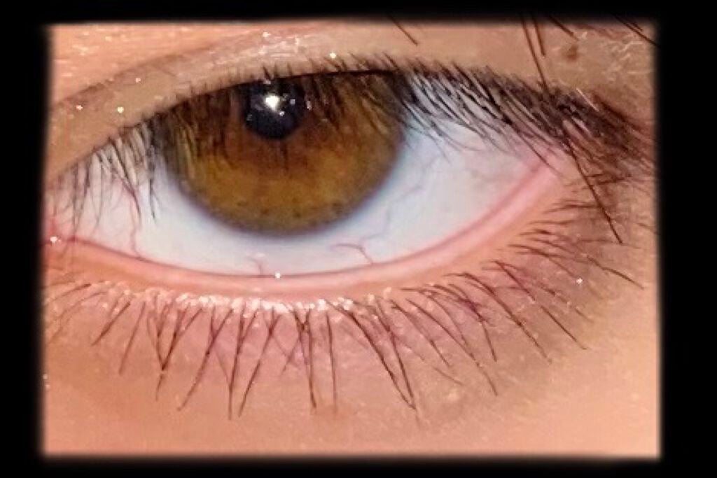 オペラ マイラッシュ アドバンスト/OPERA/マスカラを使ったクチコミ(1枚目)