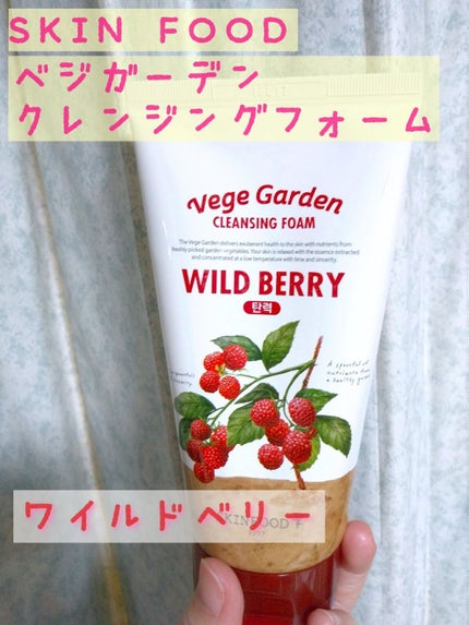 ベジガーデン クレンジングフォーム/SKINFOOD/洗顔フォームを使ったクチコミ(1枚目)