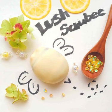 ラッシュ スクラビーのクチコミ「✨LUSH　スクラビー ¥1530✨


冬のボディケアにミツバチのお供はいかがですか🐝


.....」（1枚目）