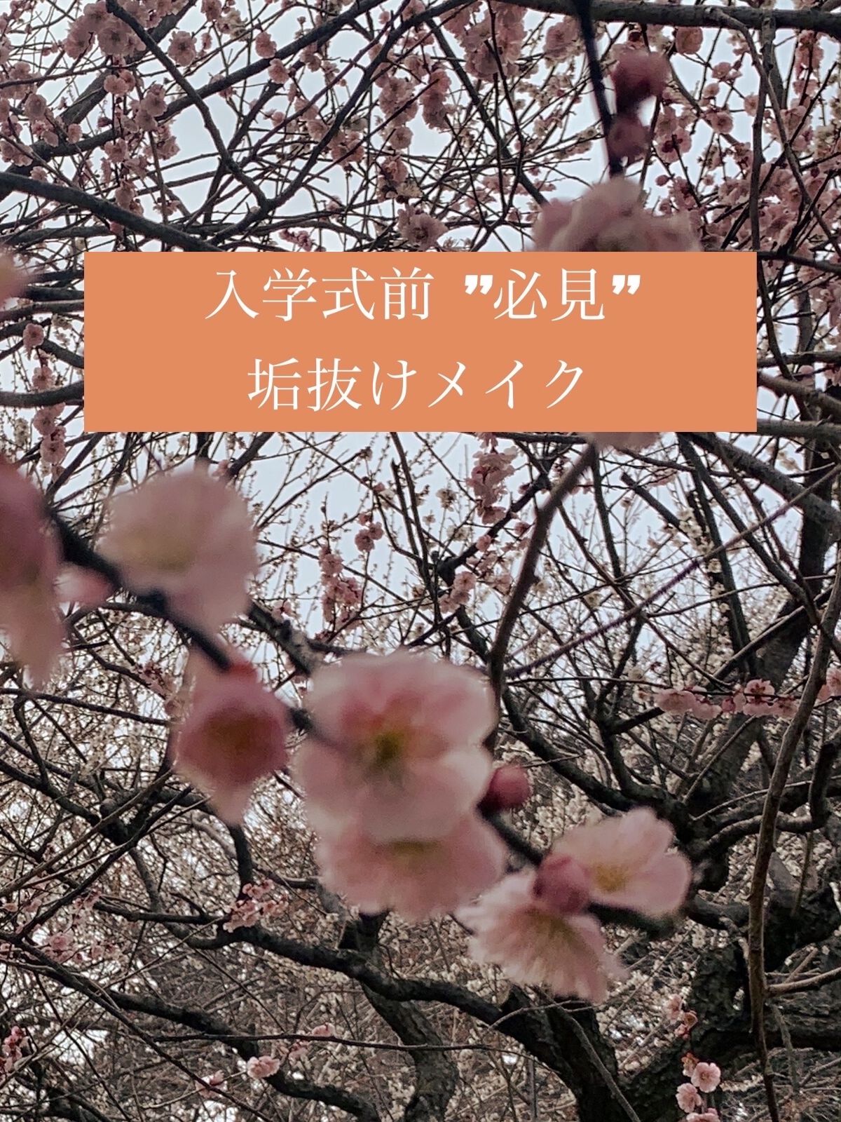 パーフェクトマルチアイズ/キャンメイク/アイシャドウパレットを使ったクチコミ（1枚目）