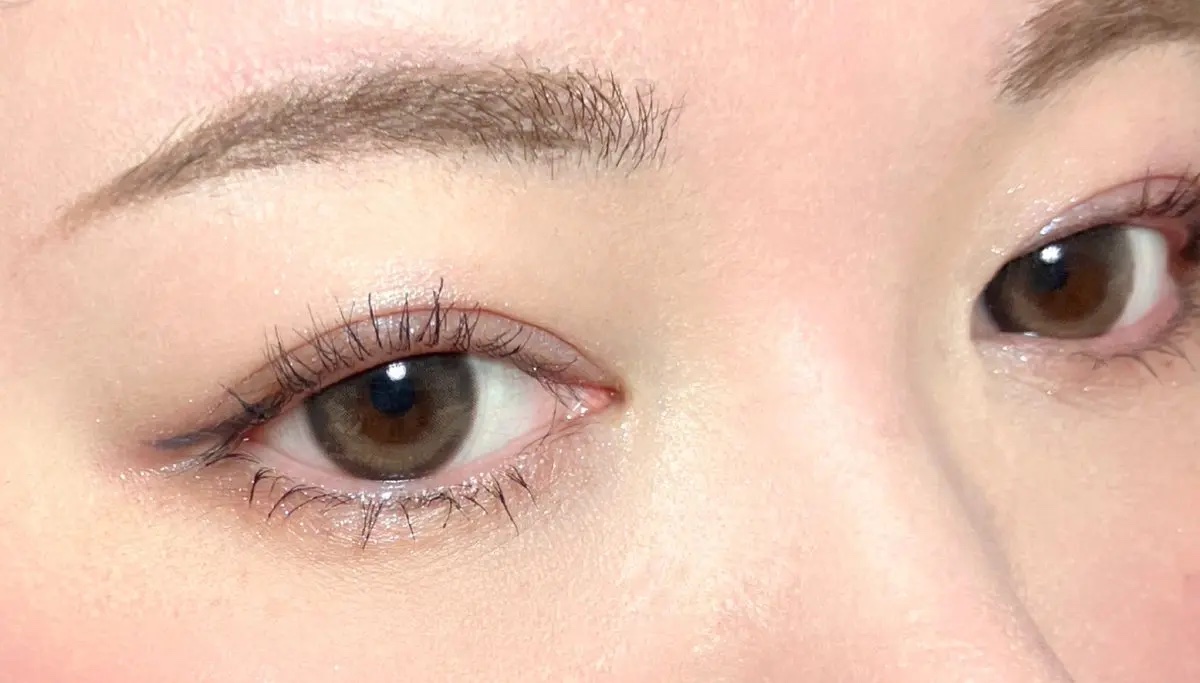 ステラドリームコフレ /LUNASOL/メイクアップキットを使ったクチコミ（2枚目）