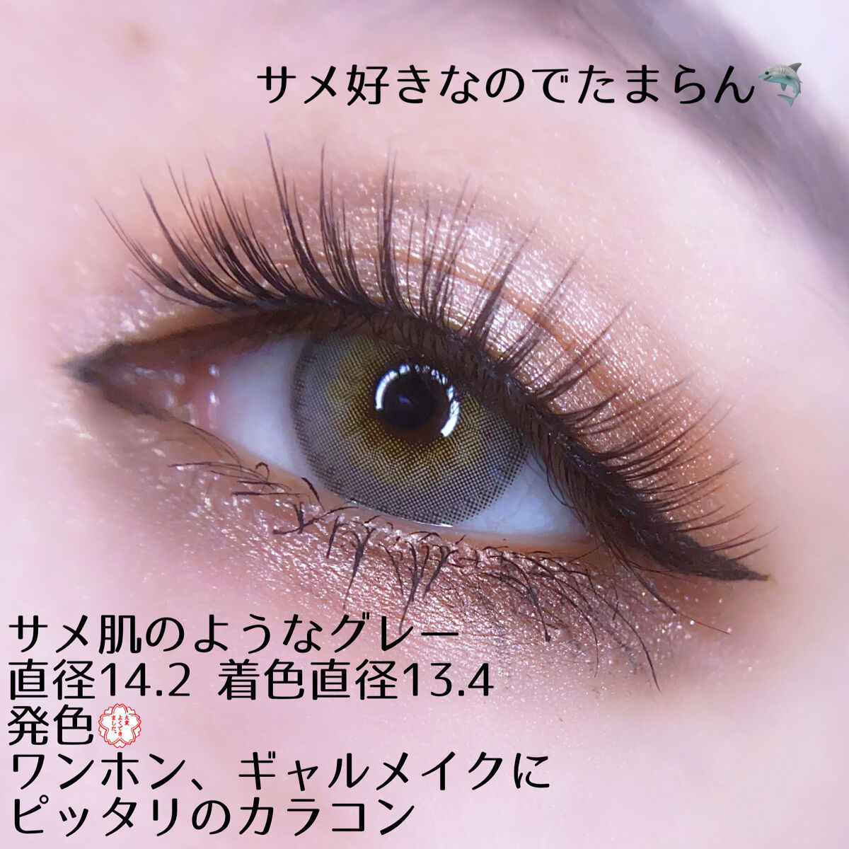 シャークグレー/eyesm/カラーコンタクトレンズを使ったクチコミ（3枚目）