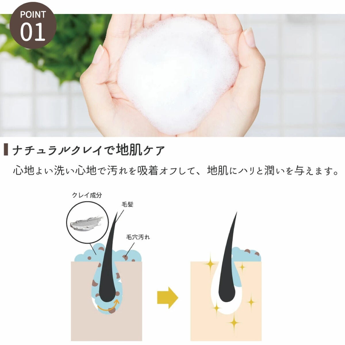 ã·ã£ã³ããŒïŒããªãŒãã¡ã³ã SNããããã/CLAYGE/ã·ã£ã³ããŒã»ã³ã³ãã£ã·ã§ããŒã䜿ã£ãã¯ãã³ãïŒ2æç®ïŒ