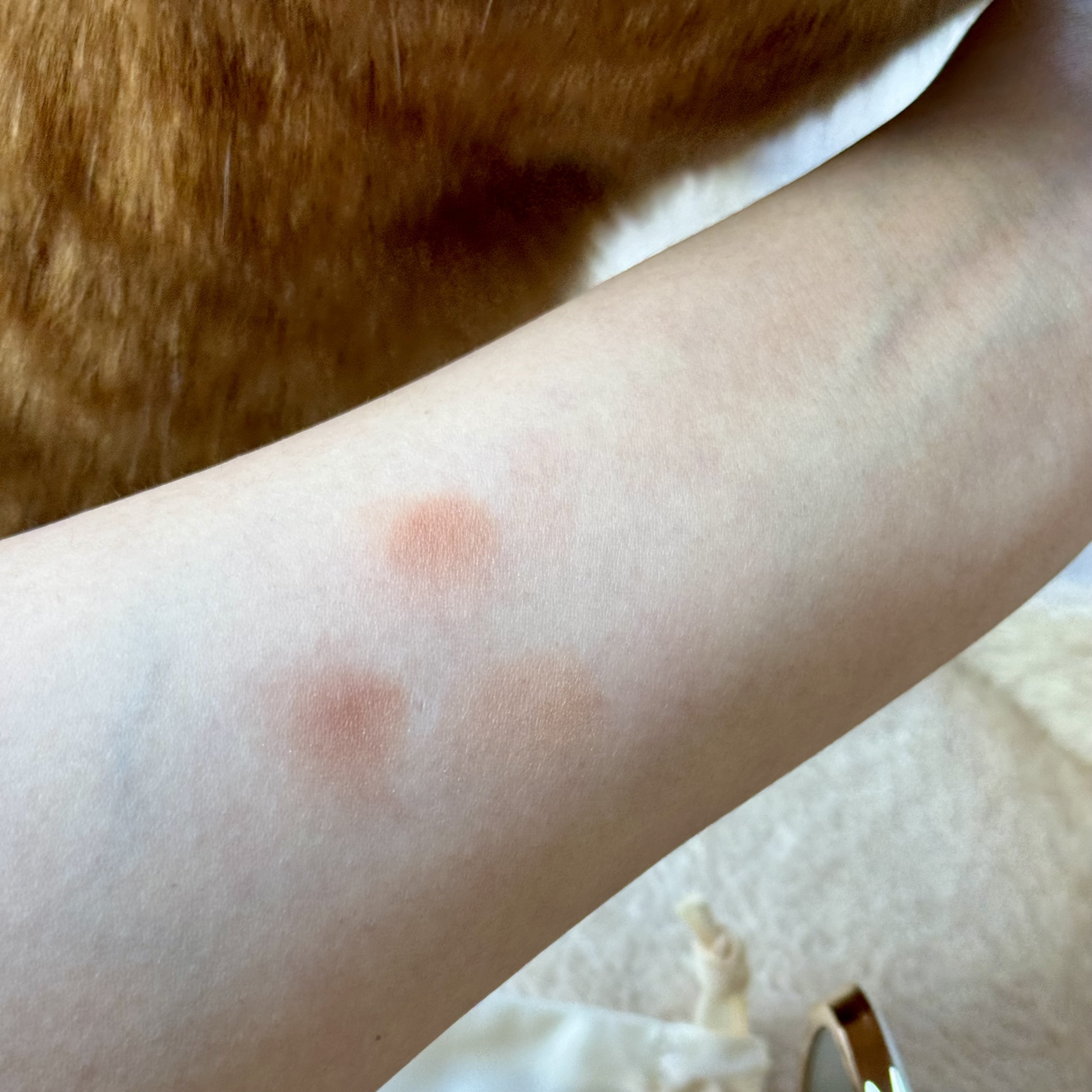 御猫嬉戏多用眼彩盘/MAOGEPING/アイシャドウパレットを使ったクチコミ（2枚目）