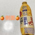 アサヒ飲料 三ツ矢クラフトオレンジ