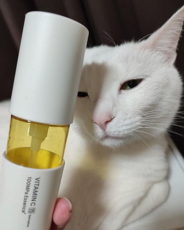 こんにゃに色が白くなりまちた😻

にゃー。

(※ねこ談)

——————————————————

アンレーベル ラボ Vエッセンス
50mL / 1,980 (税込)

——————————————