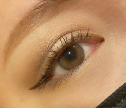 クロマティックス クワッド/shu uemura/アイシャドウパレットを使ったクチコミ(5枚目)