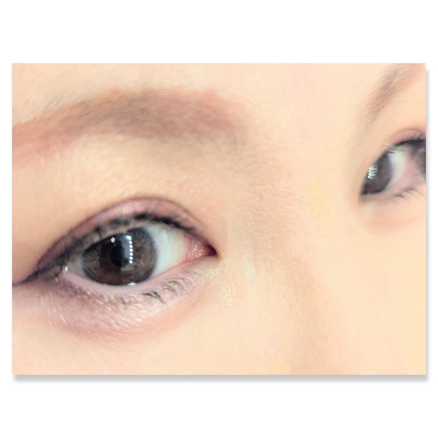 パノラマデザイン アイパレット/Visée/アイシャドウパレットを使ったクチコミ(2枚目)