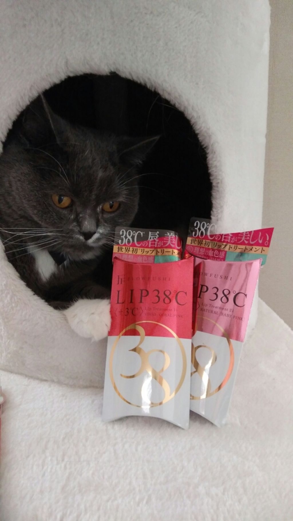 38°C / 99°F リップトリートメント (リップ美容液)/UZU BY FLOWFUSHI/リップケアを使ったクチコミ(2枚目)