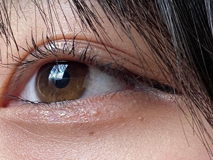 【旧品】パーフェクトスタイリストアイズ/キャンメイク/アイシャドウパレットを使ったクチコミ(1枚目)