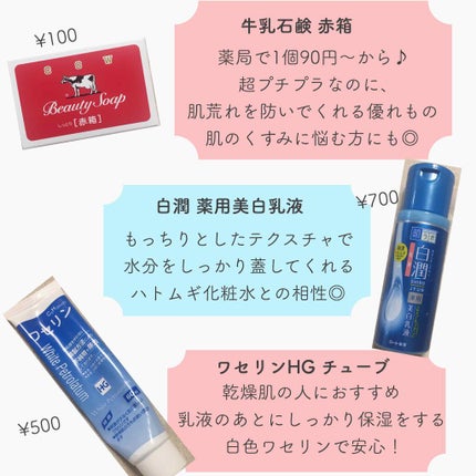 ハトムギ化粧水(ナチュリエ スキンコンディショナー R )/ナチュリエ/化粧水を使ったクチコミ(2枚目)