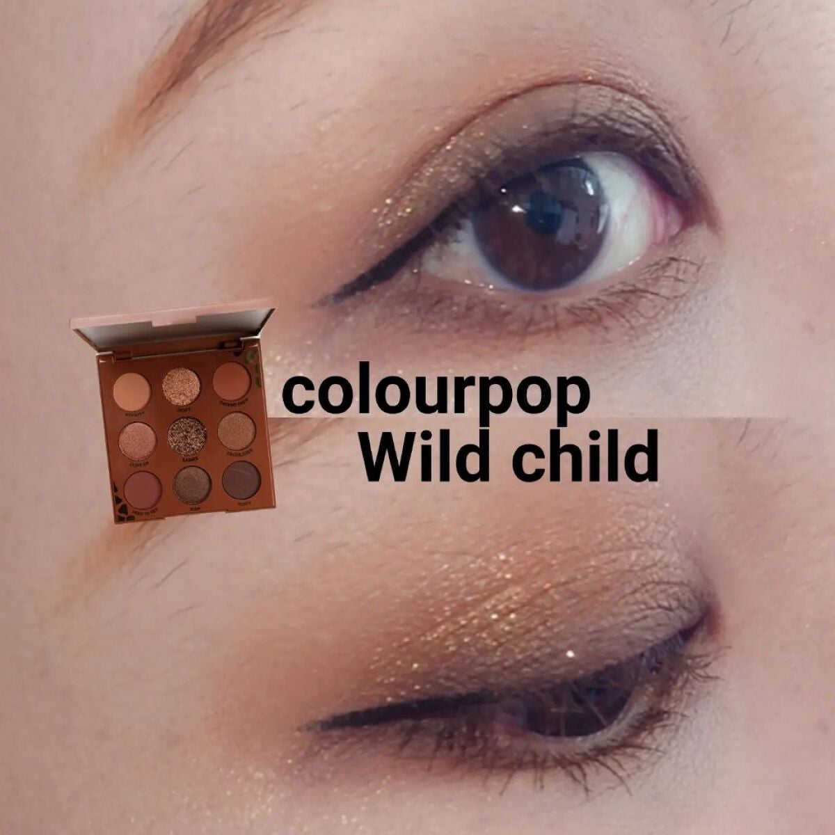 ワイルドチャイルド/ColourPop/アイシャドウパレットを使ったクチコミ(1枚目)