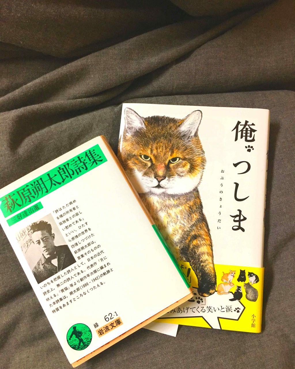 ナイーブピュア 泡ボディソープ/ナイーブ/ボディソープを使ったクチコミ(3枚目)