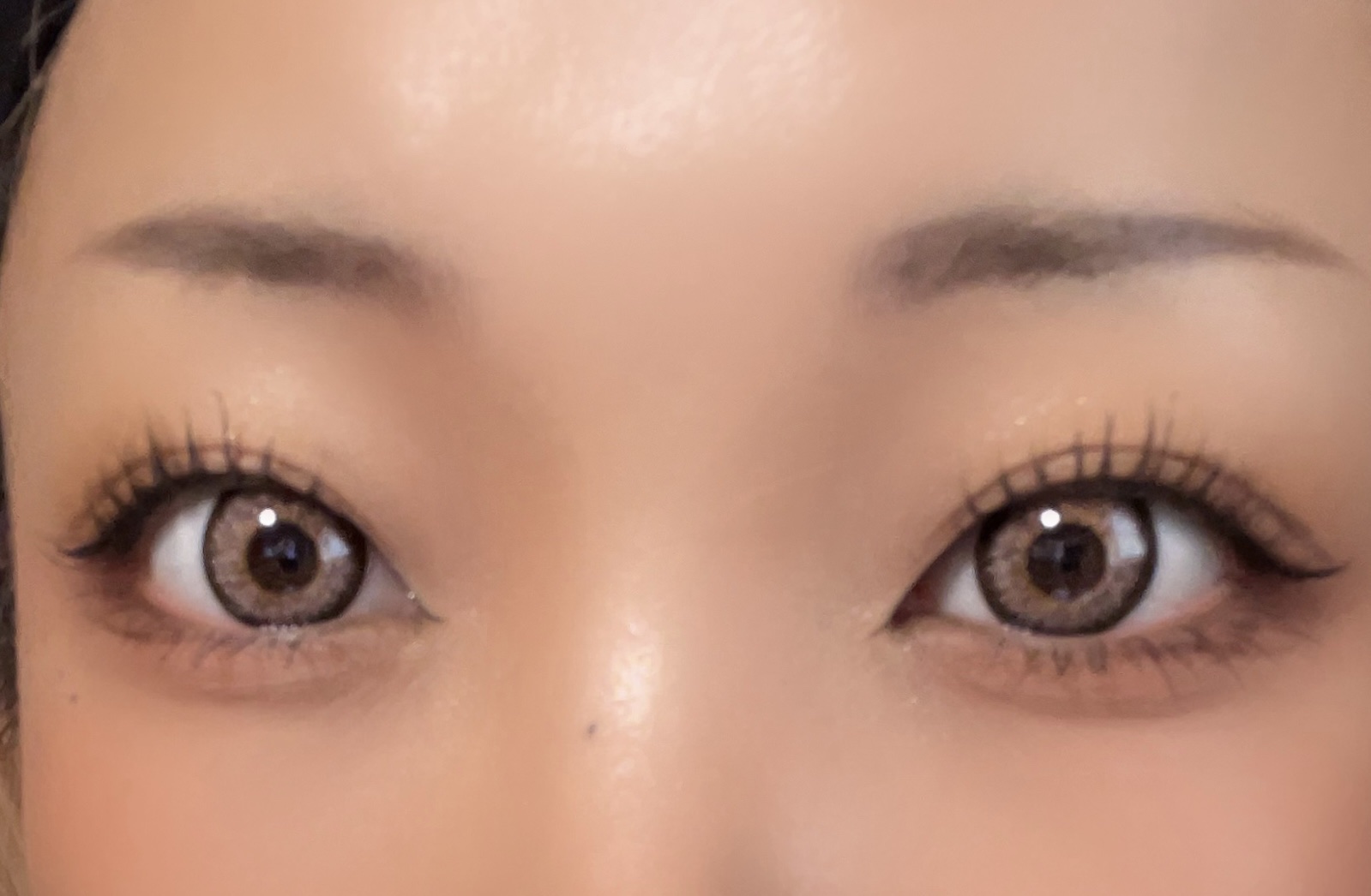 GAL NEVER DIE 1Day CHOCOLATE (チョコレート)/GAL NEVER DIE/ワンデー（１DAY）カラコンを使ったクチコミ（1枚目）