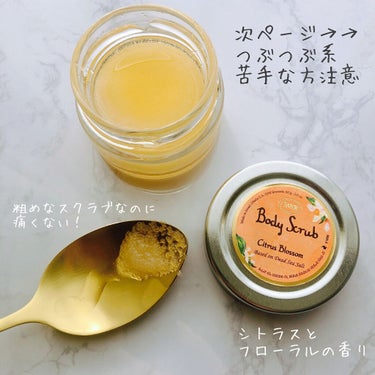 ボディスクラブ シトラス・ブロッサム 320g/SABON/ボディスクラブの画像