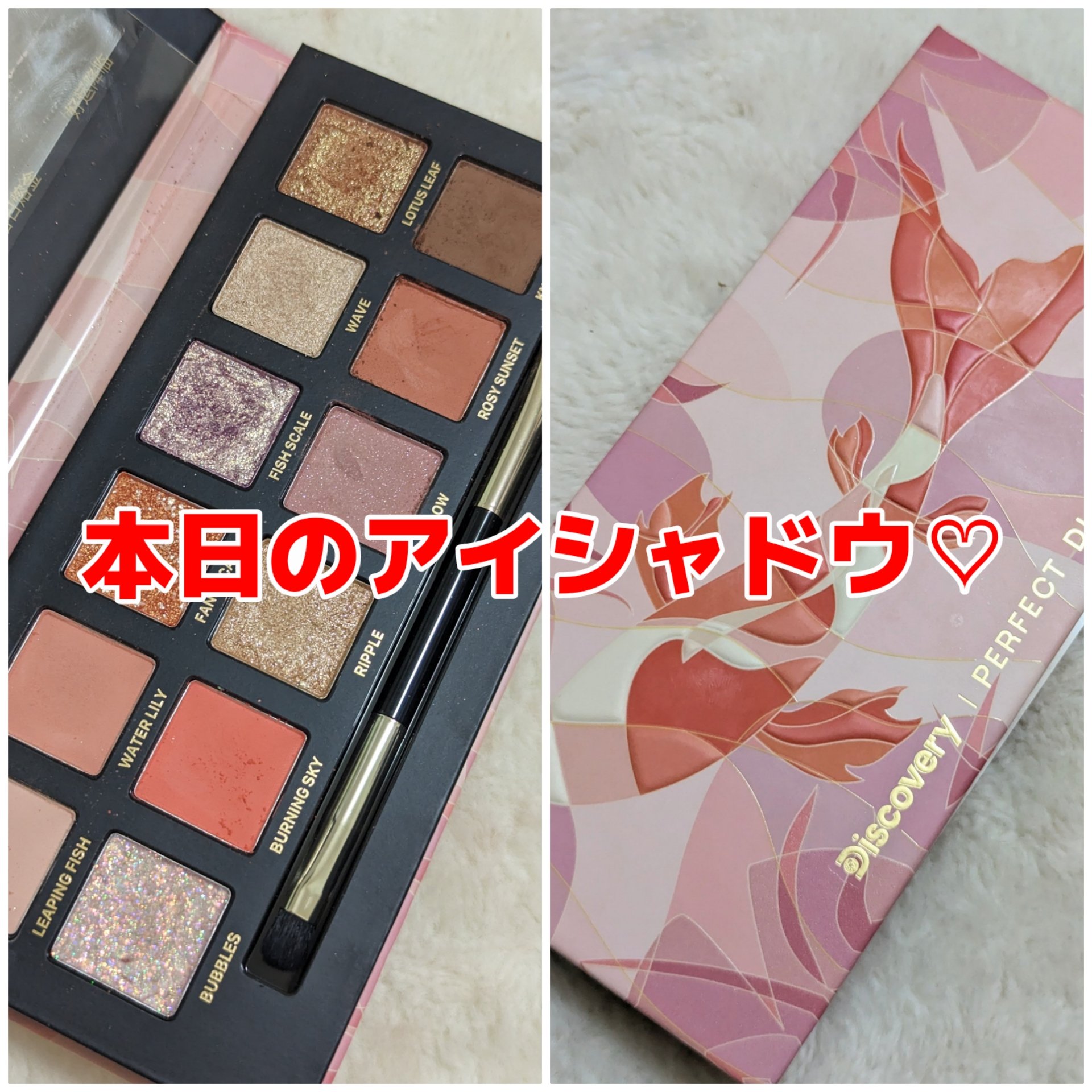 エクスプローラ12色 動物アイシャドウパレット 鯉/PERFECT DIARY/アイシャドウパレットを使ったクチコミ（1枚目）