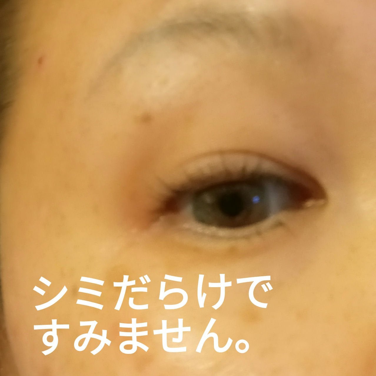 セルフまつ毛パーマキット/ICLIONE/その他キットセットを使ったクチコミ(3枚目)