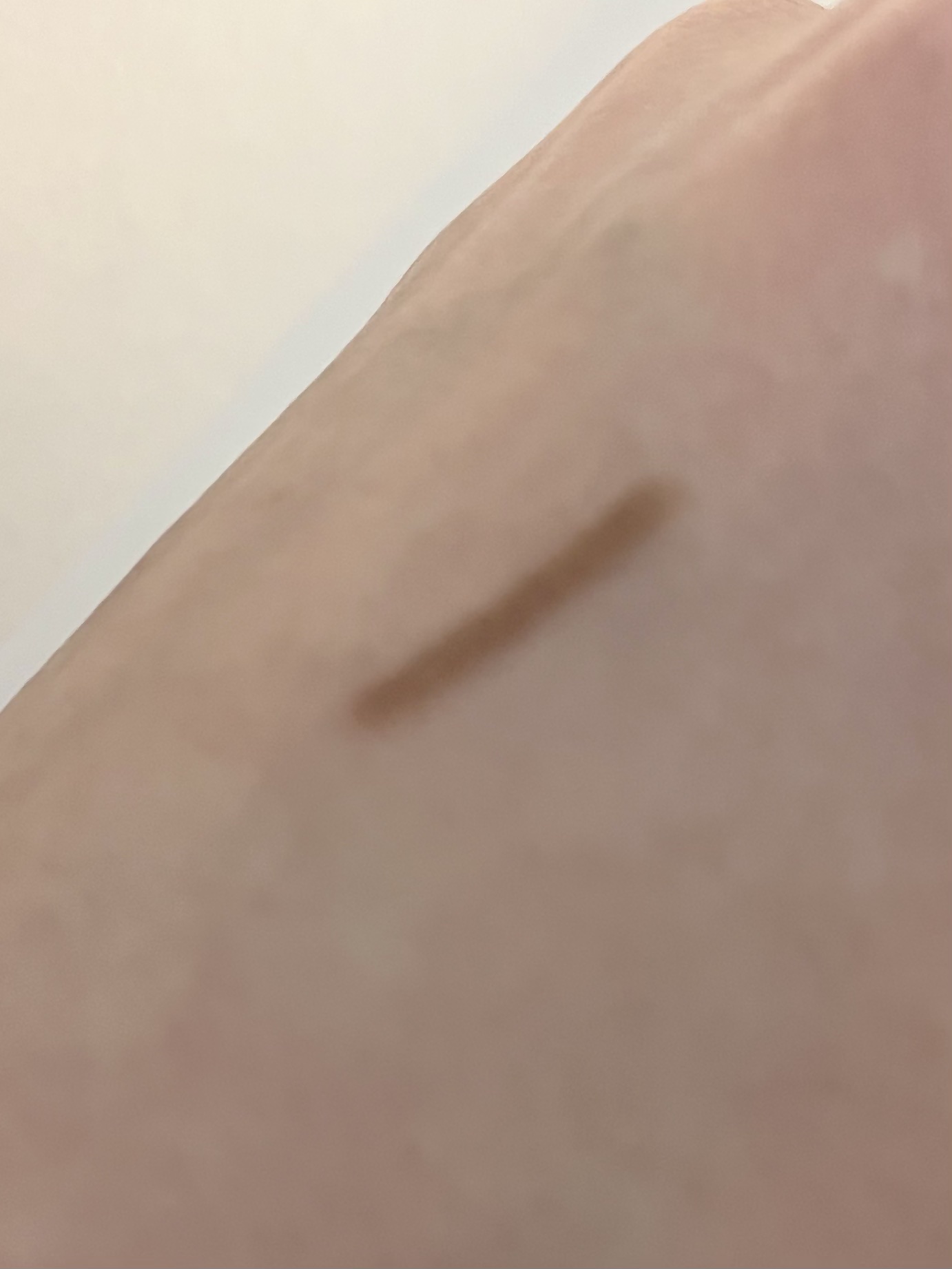 ラストオート ジェルアイライナー 13 ピーナッツベージュ/BBIA/ジェルアイライナーを使ったクチコミ（2枚目）